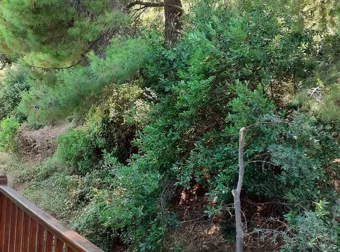 Mandaniki * Vasilias (Skiathos)