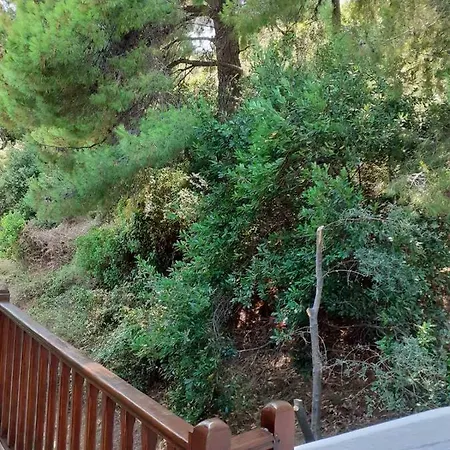 Mandaniki * Vasilias (Skiathos)